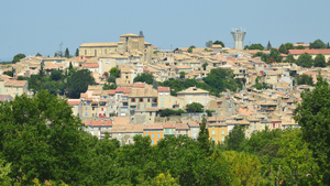 Enlèvement arbre urgence Manosque